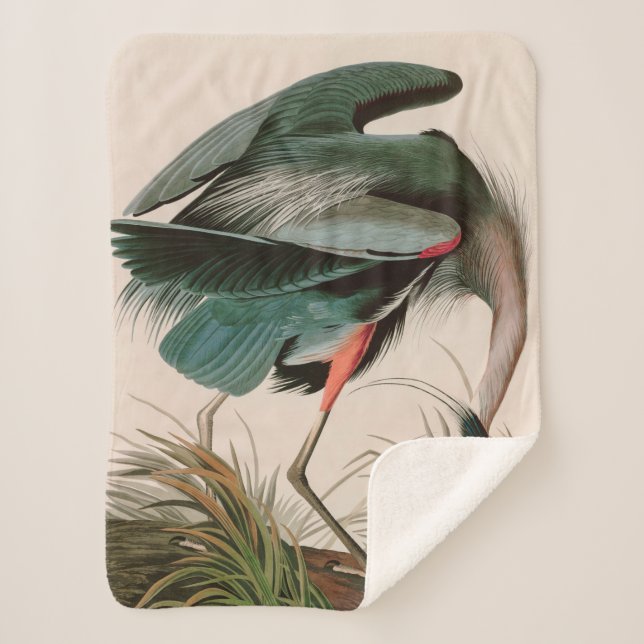 Great Blue Heron Birds of America Audubon Print Sherpa Blanket (Front)