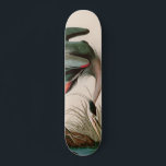 Great Blue Heron Birds of America Audubon Print Skateboard<br><div class="desc">Birds of America by John James Audubon depicting Great Blue Heron.
More birds of America by Audubon: https://bit.ly/3ix6e8Z</div>