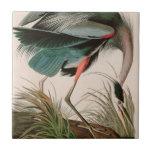 Great Blue Heron Birds of America Audubon Print Tile<br><div class="desc">Birds of America by John James Audubon depicting Great Blue Heron.
More birds of America by Audubon: https://bit.ly/3ix6e8Z</div>