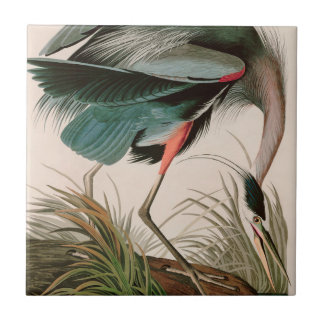 Great Blue Heron Birds of America Audubon Print Tile