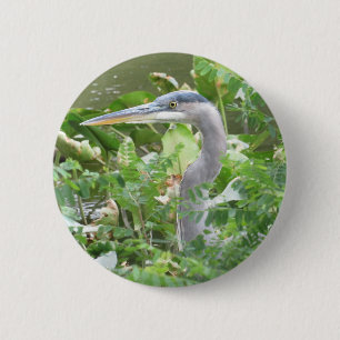 Great Blue Heron button
