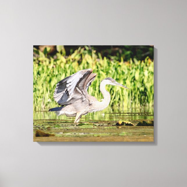 Great Blue Heron Canvas Print (Front)