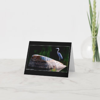 Great Blue Heron Card