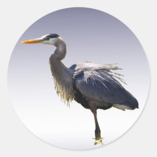 Great Blue Heron Classic Round Sticker