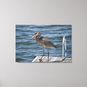 Great Blue Heron Close Up Canvas Print