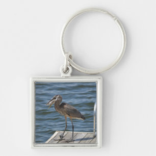 Great Blue Heron Close Up Key Ring