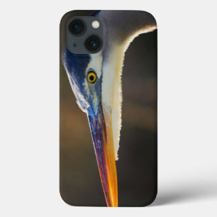 Great Blue Heron, close up portrait iPhone 13 Case