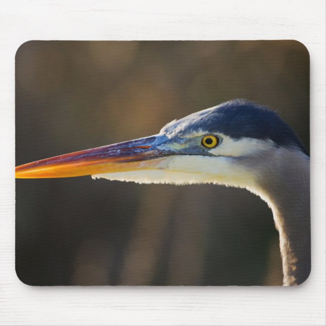 Great Blue Heron, close up portrait Mouse Mat (Front)