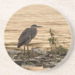 Great Blue Heron Coaster