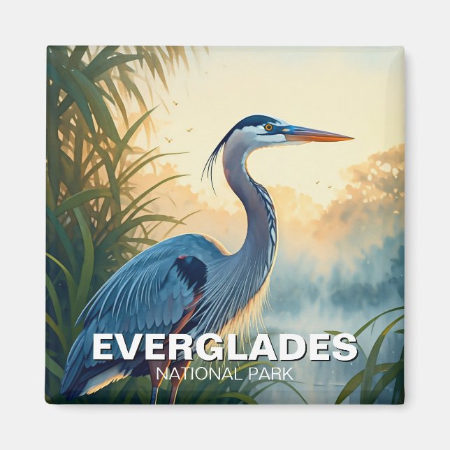Great Blue Heron Everglades National Park Florida Magnet (Front)