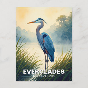 Great Blue Heron Everglades National Park Florida Postcard