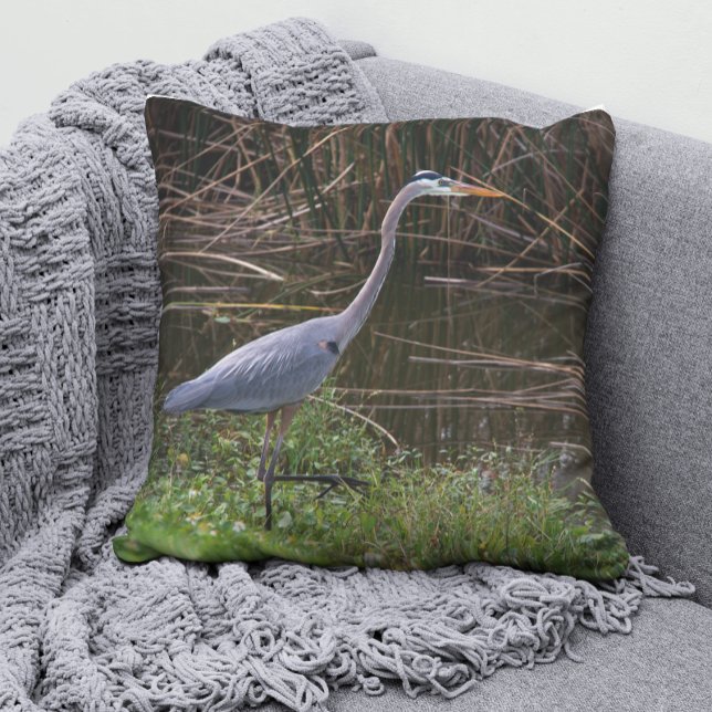Great Blue Heron Florida Photograph Cushion (A throw pillow with a photograph of a beautiful blue heron bird)