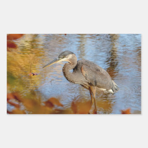 Great Blue Heron framed with fall foliage Rectangular Sticker
