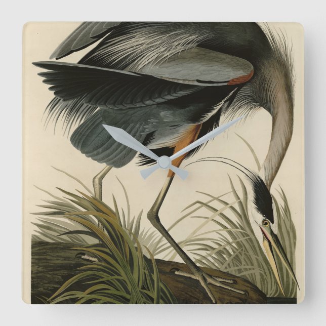 Great Blue Heron from Audubon's Birds of America Square Wall Clock (Front)
