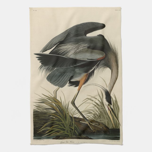 Great Blue Heron from Audubon's Birds of America Tea Towel (Vertical)