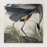 Great Blue Heron from Birds of America