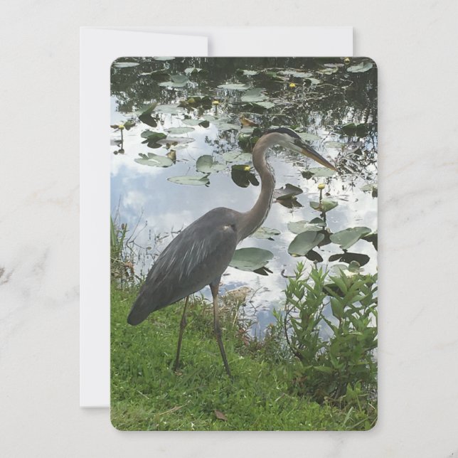 Great Blue Heron Holiday Card (Front)