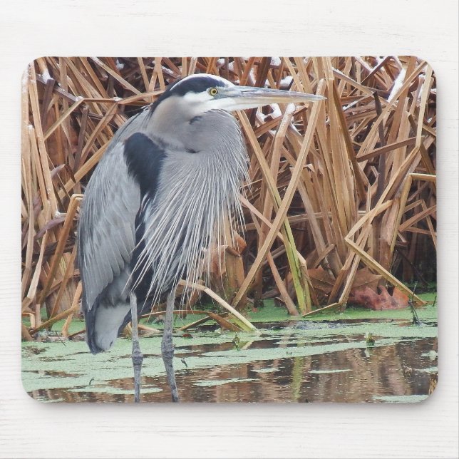 Great Blue Heron Hunting In Winter Mouse Mat (Front)