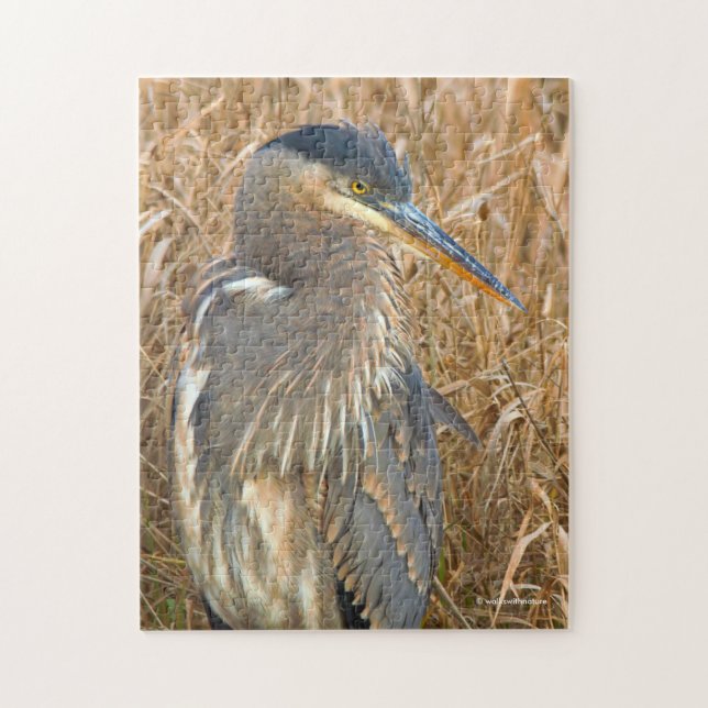 Great Blue Heron in a Field of Golden Reeds Jigsaw Puzzle (Vertical)
