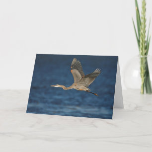 Great Blue Heron in Flight Folded Greeting Card