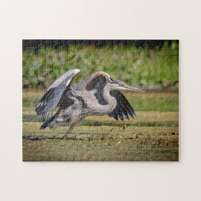 Great Blue Heron in flight Jigsaw Puzzle (Horizontal)