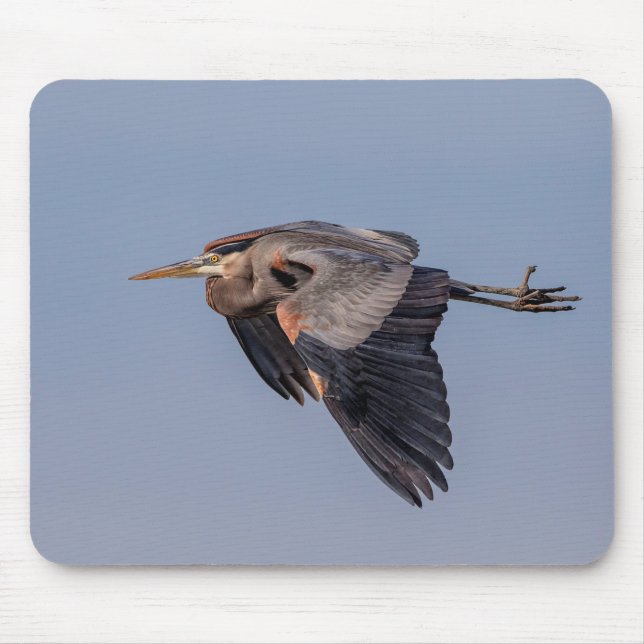 Great Blue Heron in flight Mouse Mat (Front)