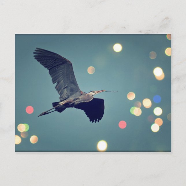 Great Blue Heron In Flight Postcard (Front)