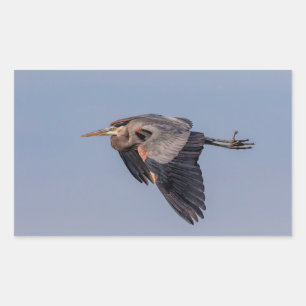 Great Blue Heron in flight Rectangular Sticker