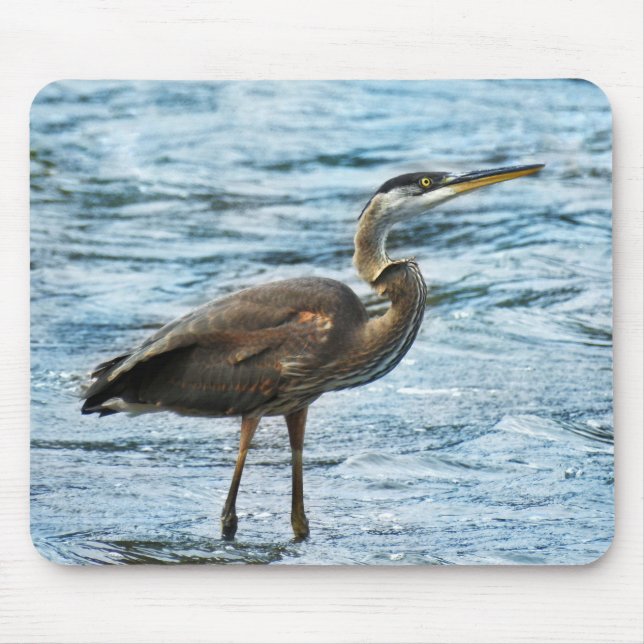 Great Blue Heron in the Blue Water Mouse Mat (Front)