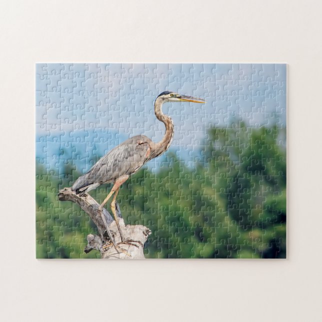 Great Blue Heron Jigsaw Puzzle (Horizontal)