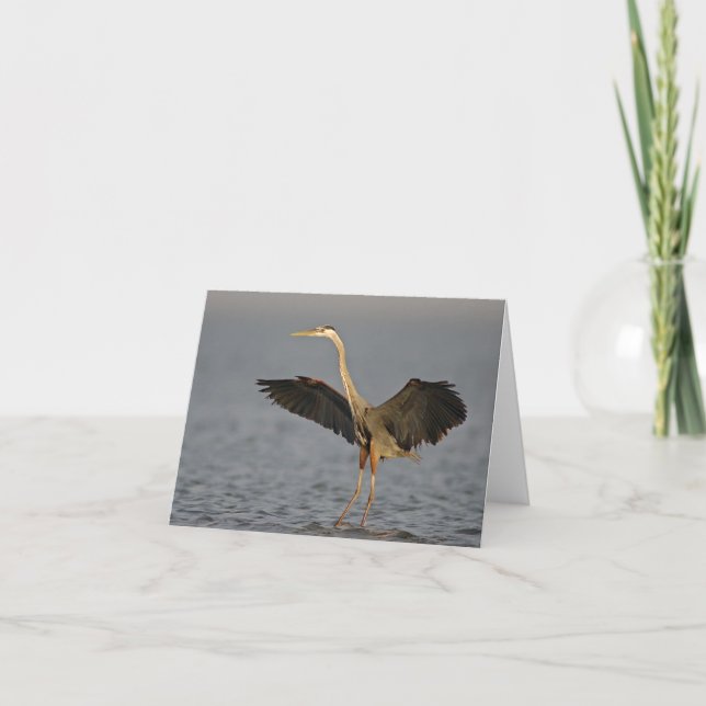 Great Blue Heron Landing Note Card (Front)