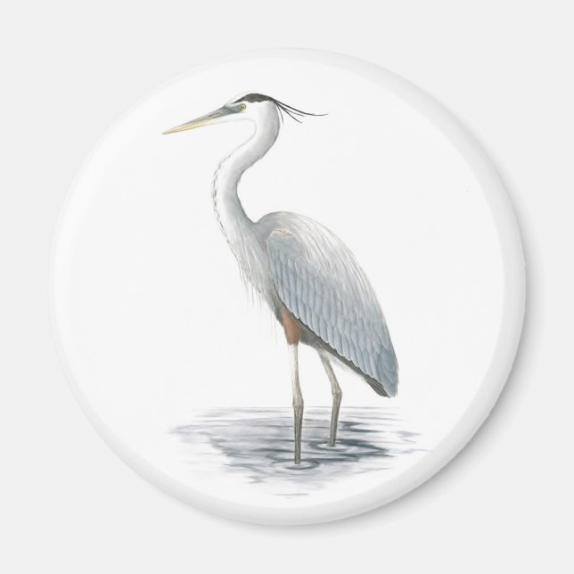 Great Blue Heron Magnet (Front)
