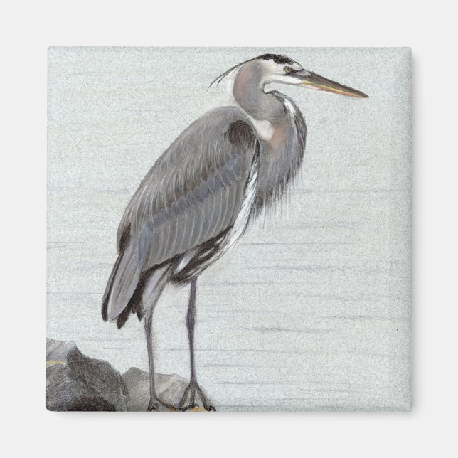 Great Blue Heron Magnet (Front)