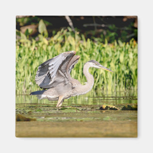 Great Blue Heron Magnet