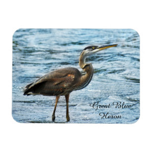 Great Blue Heron Magnet