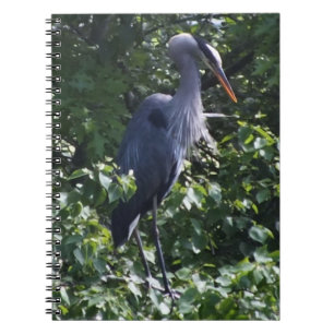 Great Blue Heron Notebook
