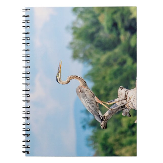 Great Blue Heron Notebook (Front)