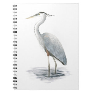 Great Blue Heron Notebook
