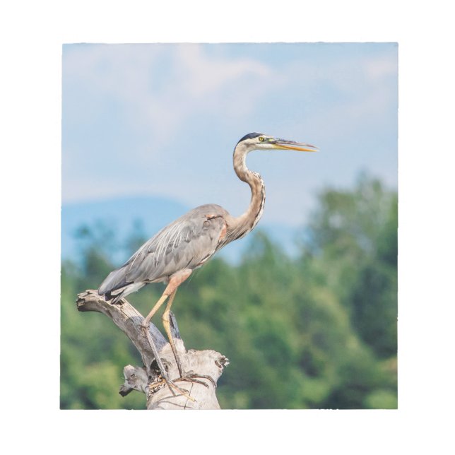 Great Blue Heron Notepad (Front)