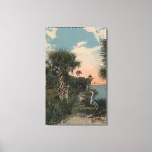 Great Blue Heron on Florida Coast Beach Canvas Print