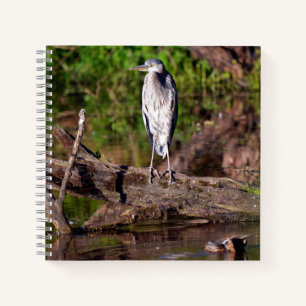Great Blue Heron on Log Photo Notebook Journal