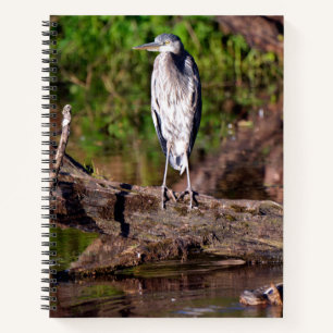 Great Blue Heron on Log Photo Notebook Journal