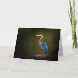 Great Blue Heron on Rustic Dock at Sunset Holiday Card