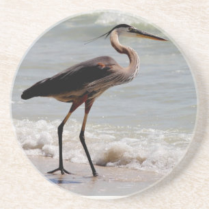 Great Blue Heron on the beach Coaster