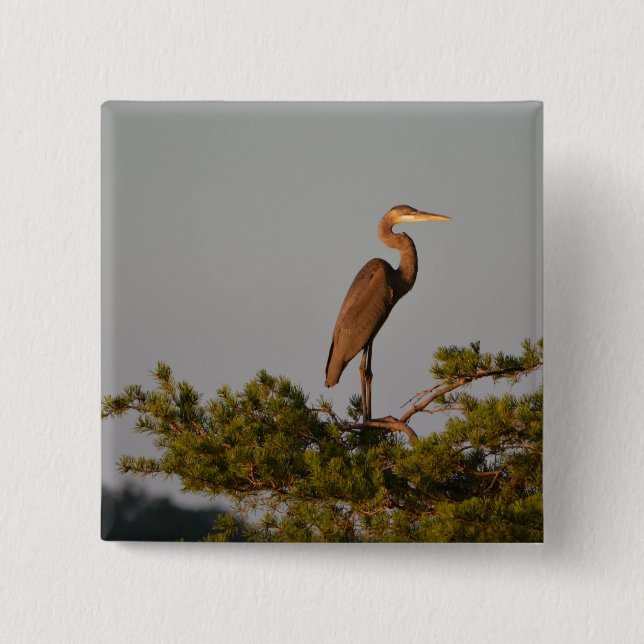 Great Blue Heron On Tree Top 15 Cm Square Badge (Front)