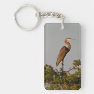 Great Blue Heron On Tree Top Key Ring