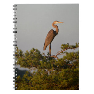 Great Blue Heron On Tree Top Notebook