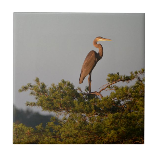Great Blue Heron On Tree Top Tile (Front)
