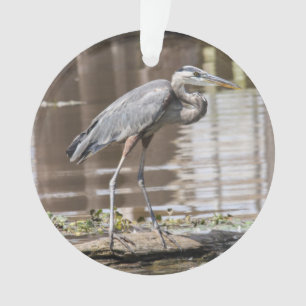 Great Blue Heron Ornament