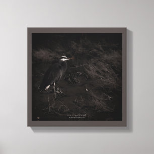 Great Blue Heron P2391 Canvas Print